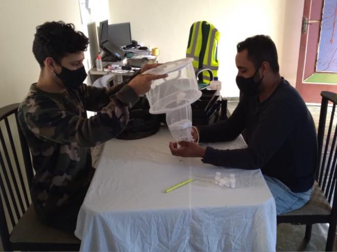 O objetivo da atividade é identificar insetos voadores que possam transmitir doenças