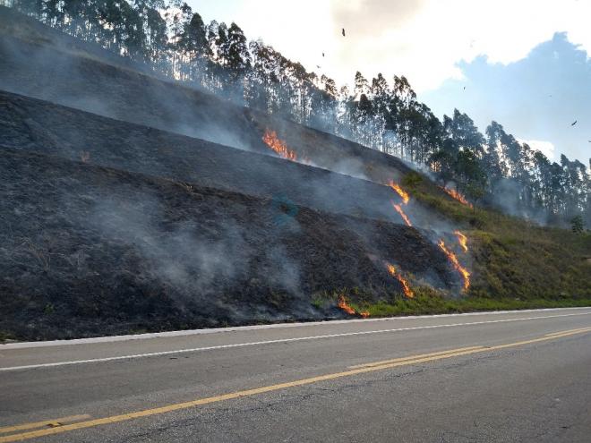 A multa por provocar incêndio florestal é de R$ 5.916 por hectare queimado