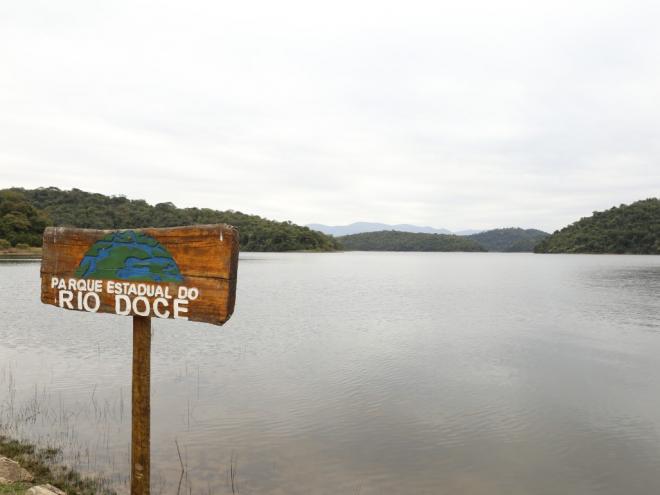 Plano de recuperação do Parque Estadual do Rio Doce está previsto em edital a ser lançado neste fim de semana 