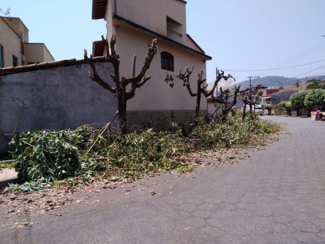 Após a poda, as galhadas e demais resíduos vegetais foram abandonados na via pública 