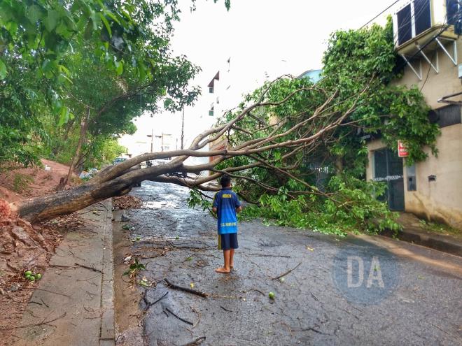 Árvore de médio porte caiu, destruiu a rede elétrica e fechou a rua Rio Paraibuna, em Ipatinga
