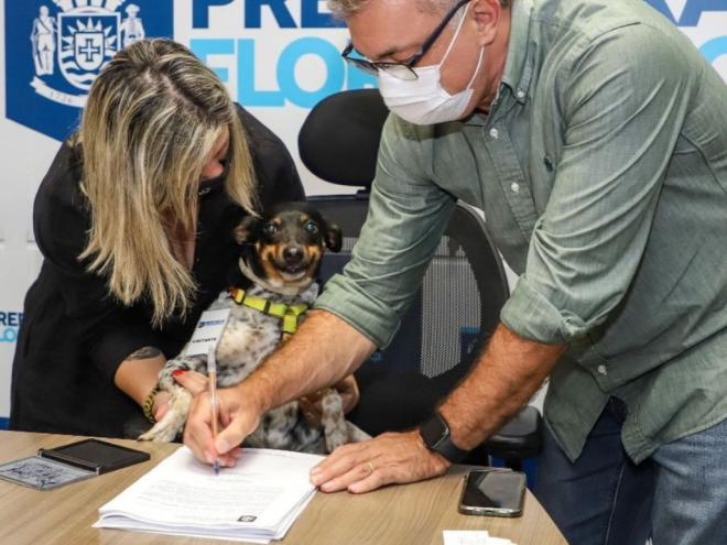 O projeto de lei tem como objetivo custear o tratamento de leishmaniose em cães de famílias em vulnerabilidade social