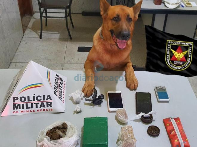 O cão Lion, da Rocca, foi utilizado para vistoriar o terreno em busca da droga apreendida pelos PMs
