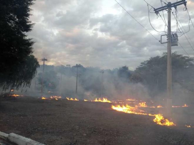 De acordo com o art. 41 da Lei 9.605/98, provocar incêndio em mata ou floresta é tipificado como crime ambiental