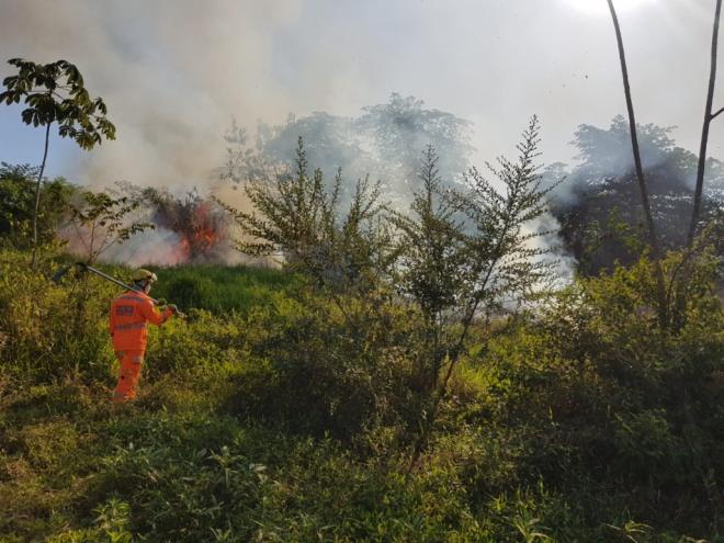 Esta semana uma equipe do Corpo de Bombeiros trabalhou por cerca de três horas no combate às chamas de um incêndio florestal às margens da BR-381 