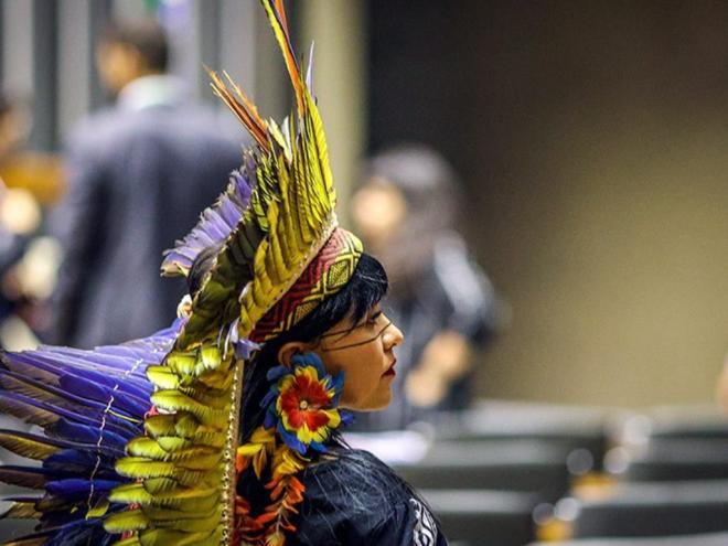 Projeto revoga lei que considera dia 19 de abril o 