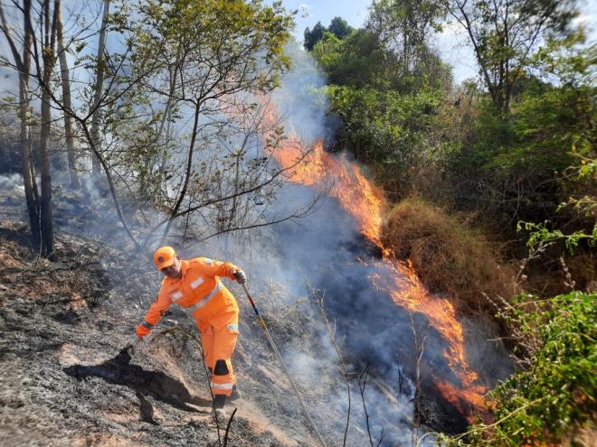 Bombeiros atuaram na área em chamas com abafadores e bombas costais