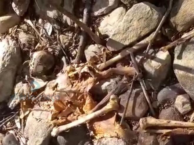 Restos mortais foram encontrados em meio às pedras na margem do rio Piracicaba 